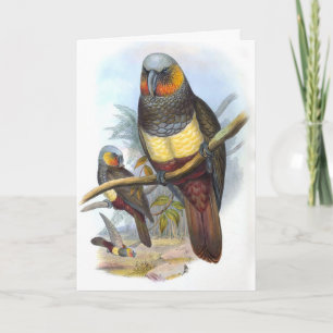 Vintager Papagei Bird PE_GC - Blank Note Card Karte