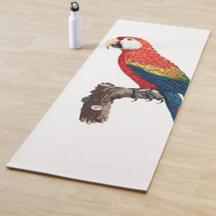 Vintager Papagei - Vögel Alte Illustration Kunst Yogamatte