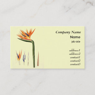 Vintager Paradiesvogel Blume Visitenkarte