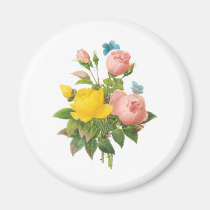 Vintager Perser Gelber Rosentee Rose von Redoute Magnet