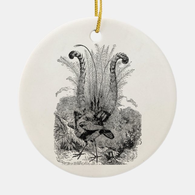 Vintager personalisierter Vogel - Retro Keramik Ornament (Vorne)