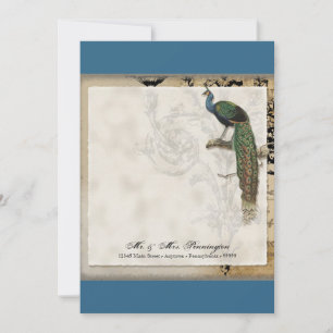 Vintager Pfau 6 - Vielen Dank, dass Sie sich auf d Mitteilungskarte