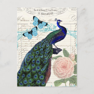 Vintager Pfau auf französischer Postkarte