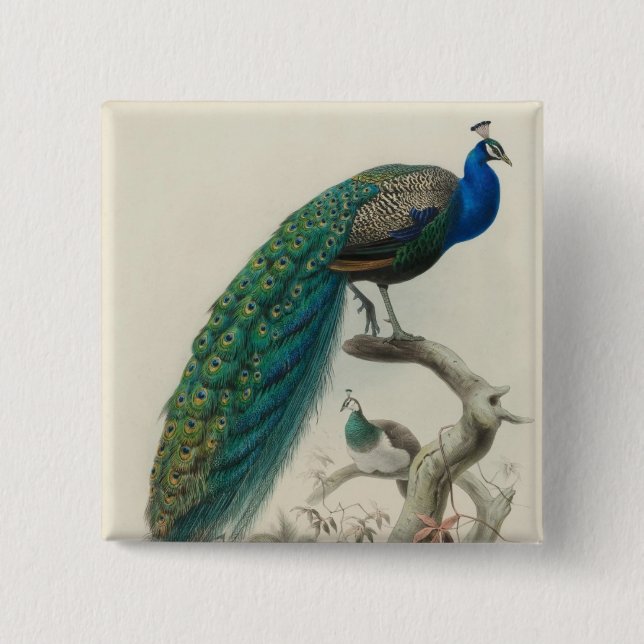 Vintager Pfau Button (Vorderseite)