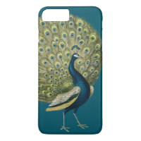 Vintager Pfau