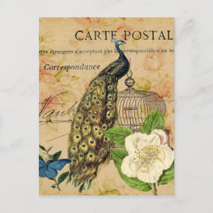 Vintager Pfau der französischen Kamelie Postkarte