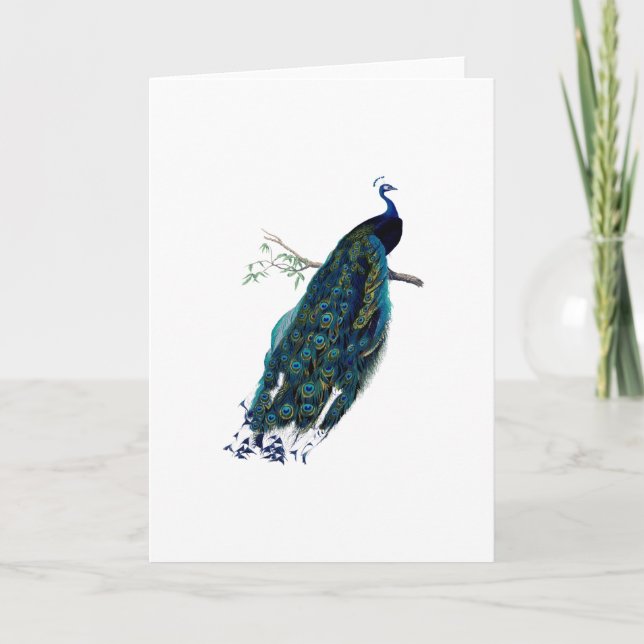 Vintager Pfau-Illustrationsgruß Karte (Vorderseite)