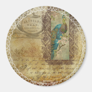 Vintager Pfau Magnet
