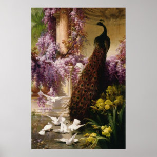 Vintager Pfau Poster