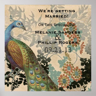 Vintager Pfau Poster