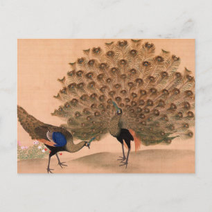 Vintager Pfau Postkarte