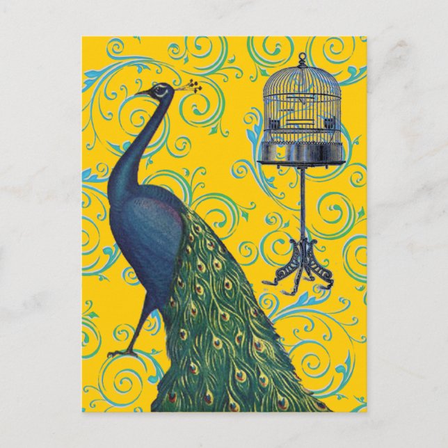 Vintager Pfau und Käfig Postkarte (Vorderseite)