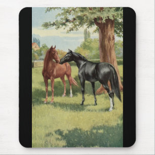 Vintager Pferdestutestallions-Reiter Mousepad