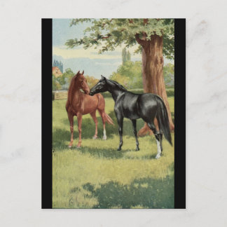 Vintager Pferdestutestallions-Reiter Postkarte