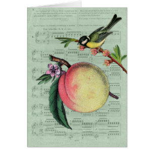 Vintager Pfirsich und Vogel