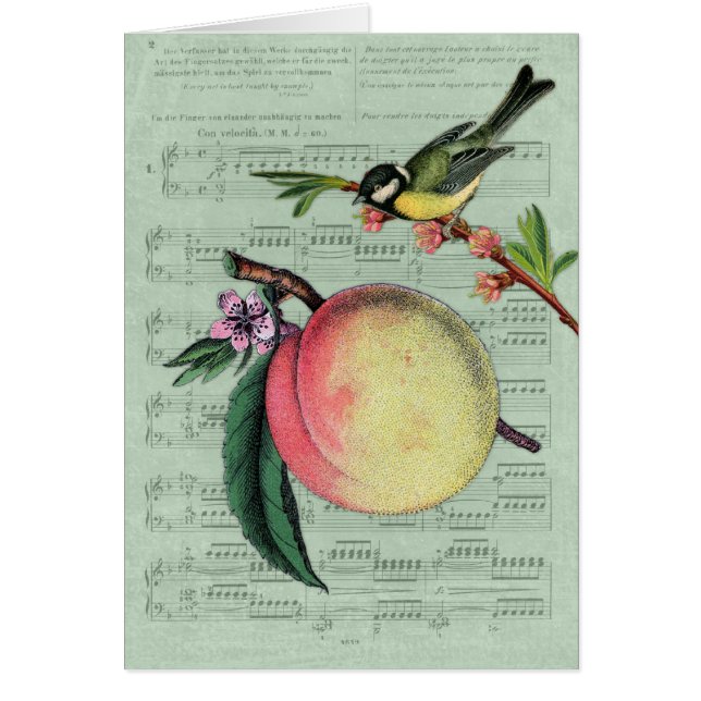 Vintager Pfirsich und Vogel (Vorne)