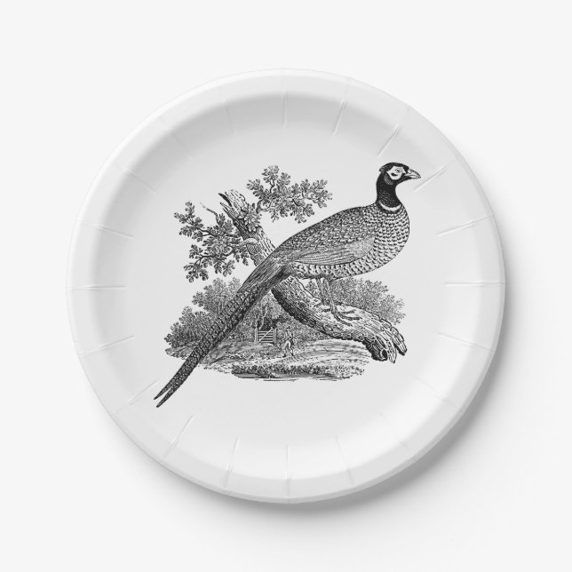 Vintager Pheasant Game Bird Zeichne BW Pappteller (Vorderseite)