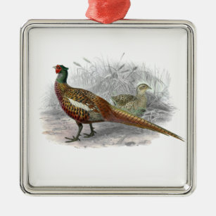 Vintager Pheasant Game Bird Zeichne Farbe #2 Ornament Aus Metall
