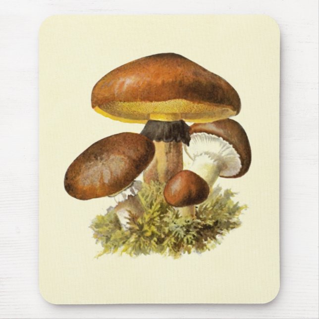 Vintager Pilz Browns Mousepad (Vorne)