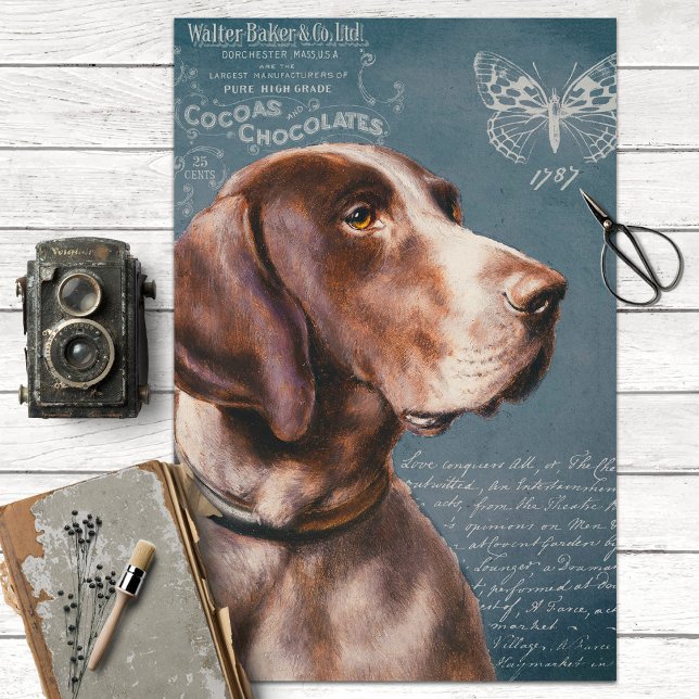 Vintager Pointer Dog mit Ephemera Decoupage Seidenpapier (Von Creator hochgeladen)