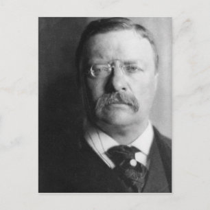 Vintager Präsident Theodore Roosevelt Postkarte