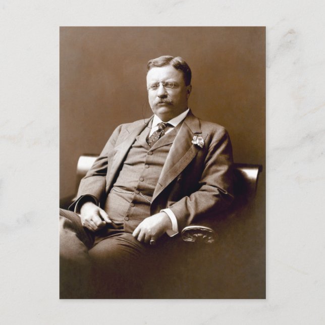 Vintager Präsident Theodore Teddy Roosevelt Postkarte (Vorderseite)