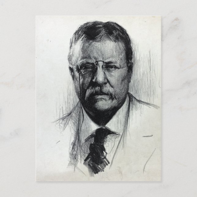 Vintager Präsident Theodore Teddy Roosevelt Postkarte (Vorderseite)