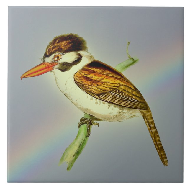 Vintager Puff Bird mit Rainbow Sky Fliese (Vorderseite)