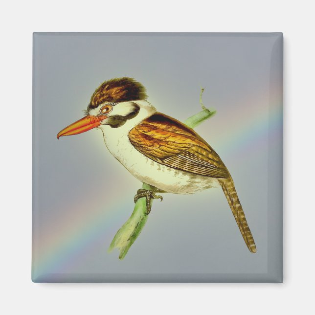 Vintager Puff Bird mit Rainbow Sky Magnet (Vorne)