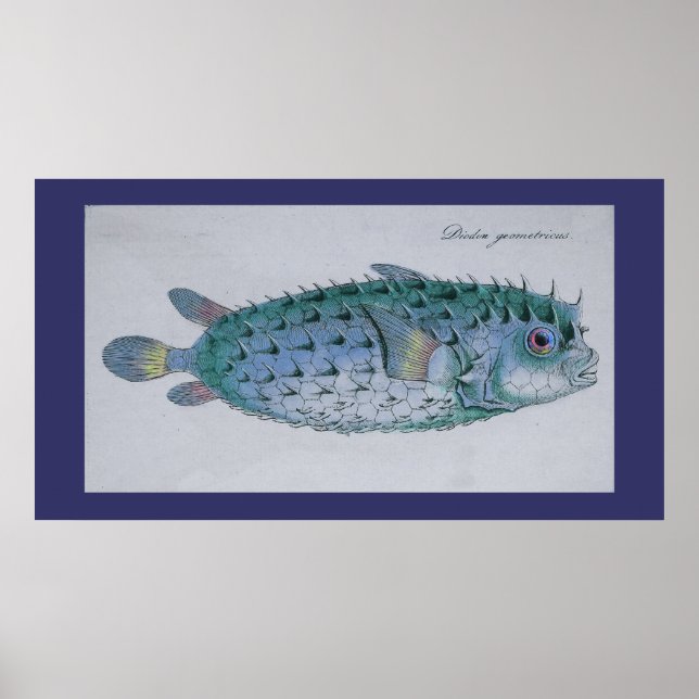 Vintager Pufffisch Poster (Vorne)