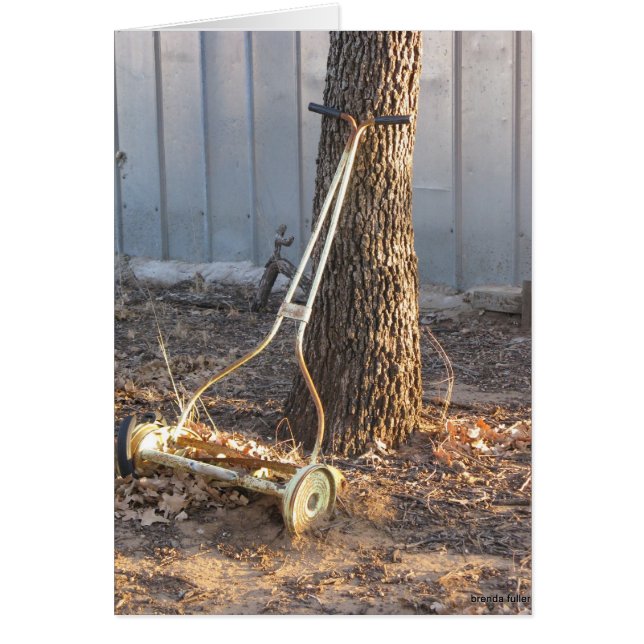 Vintager Rasenmäher (Vorne)