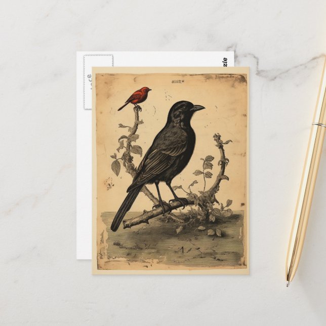 Vintager Raven & Red Bird Postkarte (Vorderseite/Rückseite Beispiel)