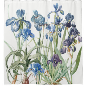 Vintager Redoute Iris-Blumen-Garten-Duschvorhang Duschvorhang