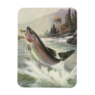 Vintager Regenbogenforellenfisch, Fischfang Magnet