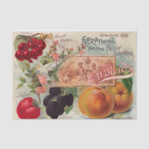 Vintager Reid's Katalog 1896 Print