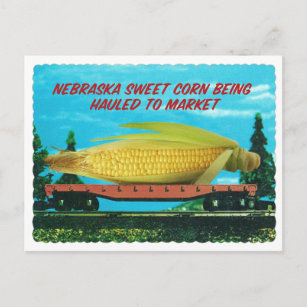 Vintager Riesen Nebraska Zuckermais Postkarte