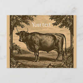 Vintager Rinderbulle Postkarte