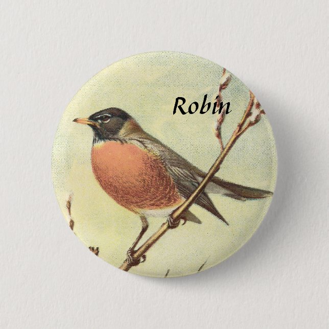 Vintager Robin-Knopf Button (Vorderseite)