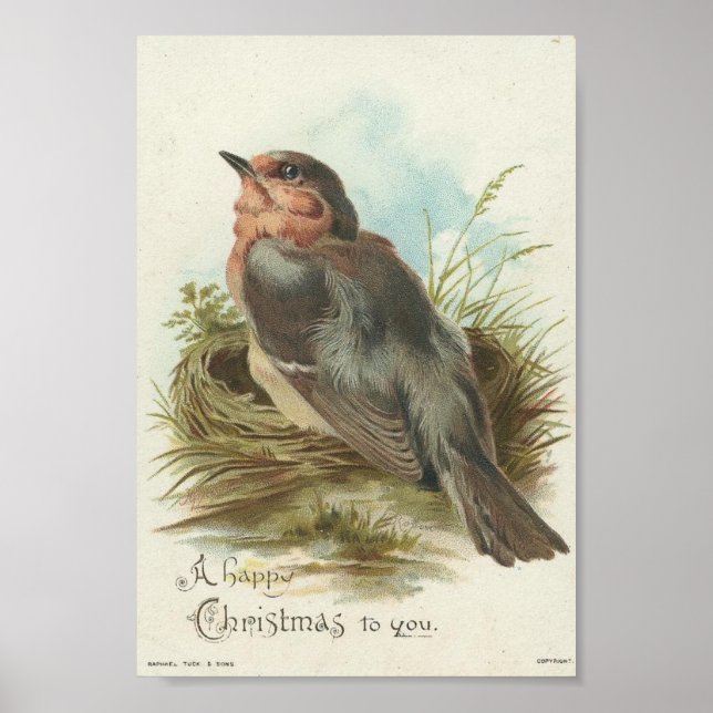 Vintager Robin, Weihnachten Poster (Vorne)