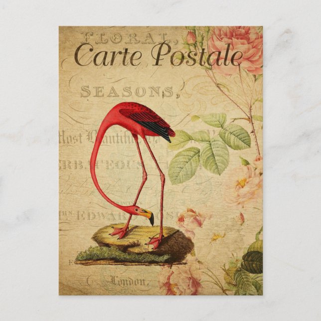 Vintager Roter Flamingo Postkarte (Vorderseite)
