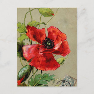 Vintager Roter Mohn Postkarte