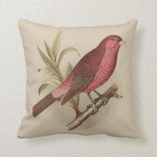 Vintager roter Vogel auf Niederlassungs-Kissen Kissen