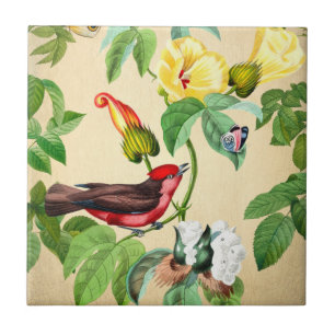 Vintager Roter Vogel-Backsplash Fliese