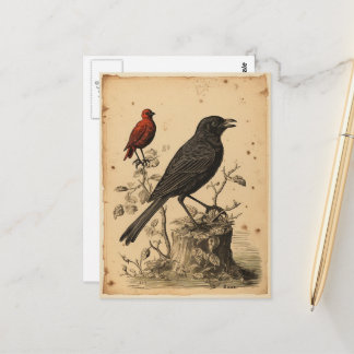 Vintager Roter Vogel und Raven Postkarte