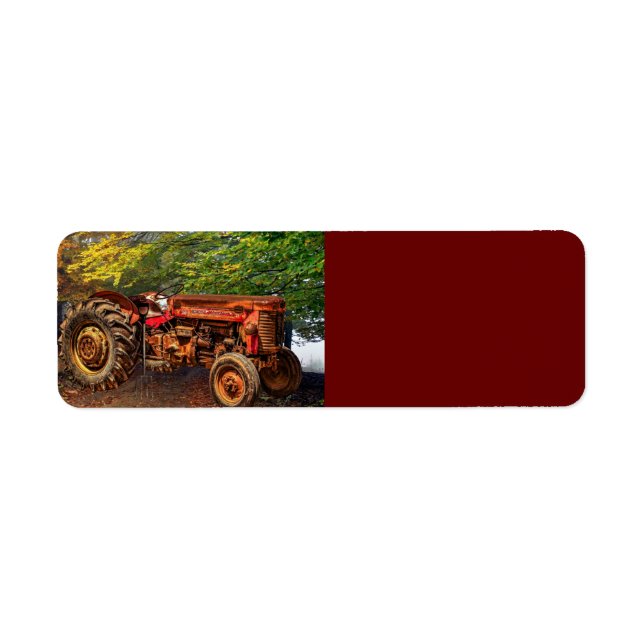 Vintager roter Zuchttraktor (Vorne)