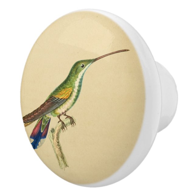 Vintager Rotgrüner Hummingvogel-Drehknopf Keramikknauf (Rechts)