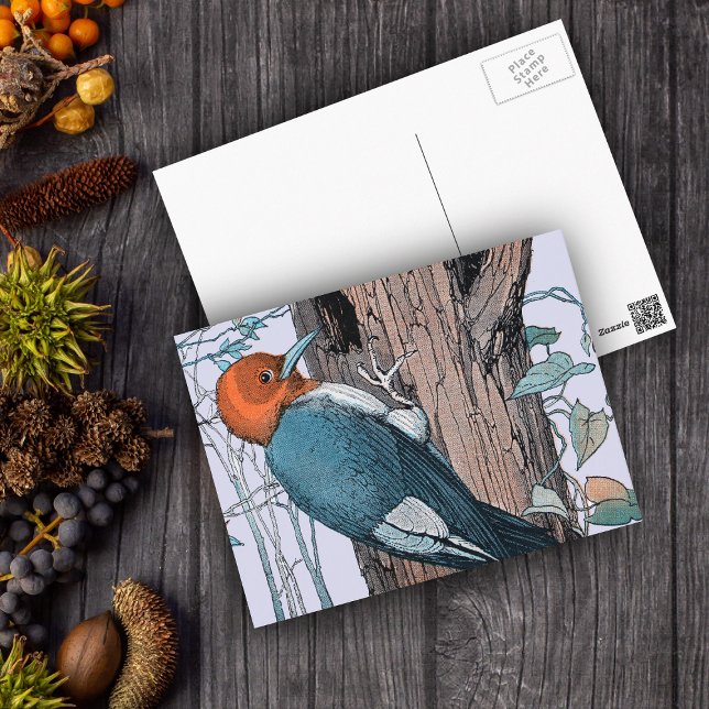 Vintager Rotkopfspecht Postkarte (Woodpecker on tree with red head blue body on light blue postcard.)