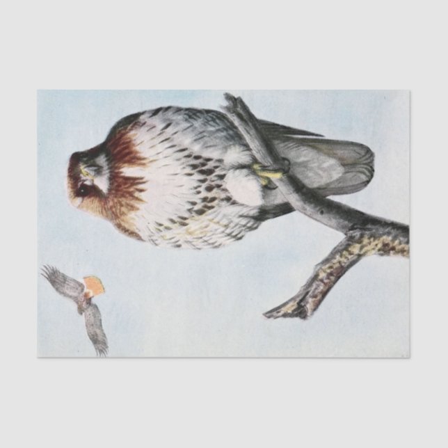 Vintager Rotschwanzhawk Seidenpapier (Vorderseite)