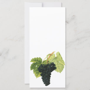 Vintager Rotwein, Bio Traubencluster, Lebensmittel