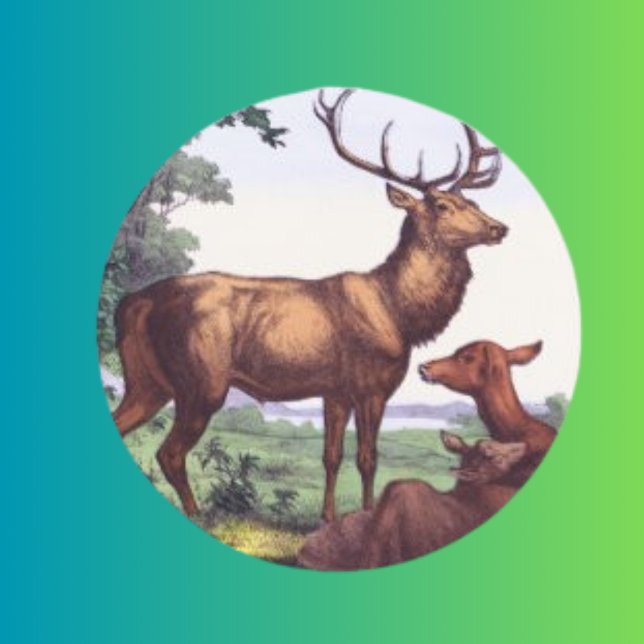 Vintager Rundaufkleber für Hirsche Runder Aufkleber (Von Creator hochgeladen)